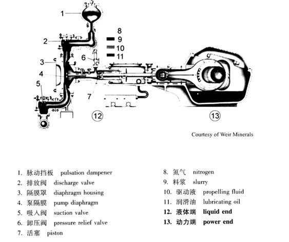 �ݷe��Ĥ��Diaphragm Positive Displacement Pump