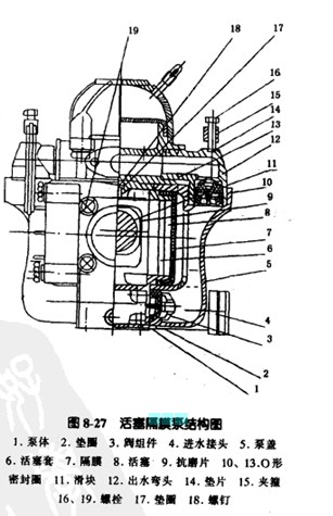 ������Ĥ��