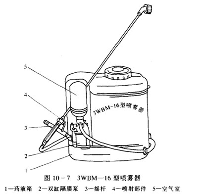 ��Ĥ�Ç��F��