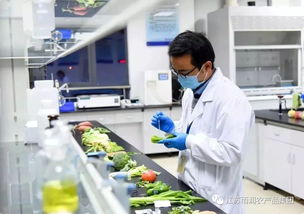 給力！2019全國農(nóng)業(yè)產(chǎn)業(yè)化龍頭企業(yè)500強發(fā)布，徐州這家企業(yè)憑借檢驗檢測服務上榜